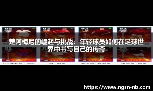 TB体育官网