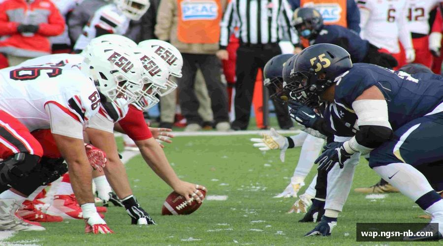 天博体育官方网站携手共进，齐心迈向成功！